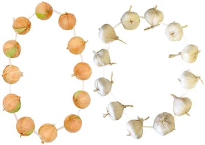 ONION OR GARLIC GARLAND FRENCH FANCY DRESS BASTILLE DAY COSTUME ACCESSORY LOT - Picture 1 of 11