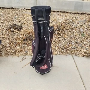 Vintage Rare Diamondbacks Ping Hoofer Golf Stand Bag MLB Arizona - Picture 1 of 14