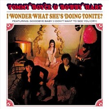 TOMMY BOYCE/BOBBY HART I WONDER WHAT SHE'S DOING TONITE NEW CD