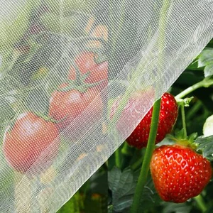 8x10ft Garden Netting, Insect Bird Barrier, Plant Cover - Picture 1 of 7