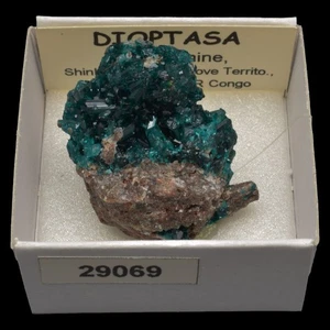 DIOPTASA (Tantara m., Kambove, Haut-Katanga, D.R. Congo) E #29069 / Dioptase - Picture 1 of 1