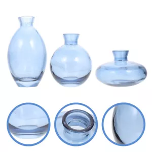 3 Pcs Hydroponic Bottle Vases Glass Vase Spring Garden Vase Wedding Flower Vases - Picture 1 of 12