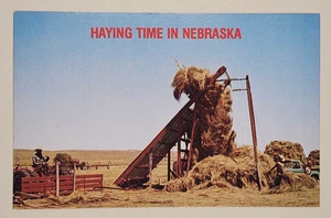 Cartolina Haying Time in Nebraska - Foto 1 di 2