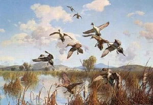 Harry Curieux Adamson Whispering Wings Pintails Remarque - Picture 1 of 1