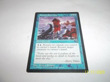 Flooded Shoreline  Visions  reserved list x1 NM/LP