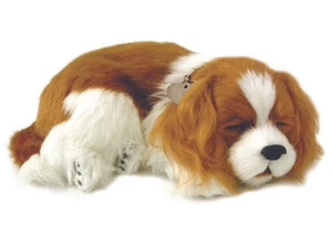 Precious Petzzz - Breathing Cavalier King Charles Spaniel Pet Dog with Bed - Picture 1 of 4