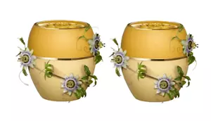 2 bálsamos multiusos fruta de la pasión cuidado tierno Oriflame 0,35 fl.oz. - Imagen 1 de 2