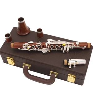 New Eb 18 Keys Professional Clarinet Rose wood Clarinet E flat Sweet Tone-Weike - Picture 1 of 8