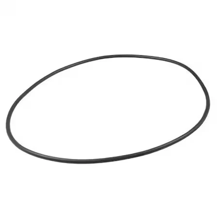 Junta tórica Dayton Pp60077g, Viton Foto 1 de 1