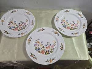 aynsley cottage garden plates Bone China. Set Of Three. - Bild 1 von 4