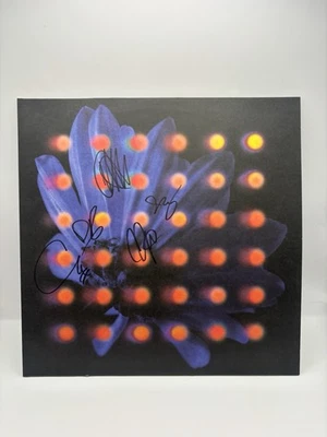 Anberlin Nevertake Grey Marble Signed Autographed Vinyl LP IN HAND - Imagem 1 de 3