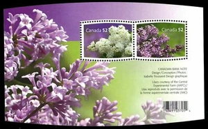 CANADA 2206 - Garden Flowers "Lilacs" Souvenir Sheet (pa53022) - Picture 1 of 1