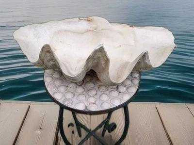 Natural Giant Clam Shell (20" L x 12" W x 9" T) Tridacna Gigas Seashell 28lb 9oz - Image 1 of 4