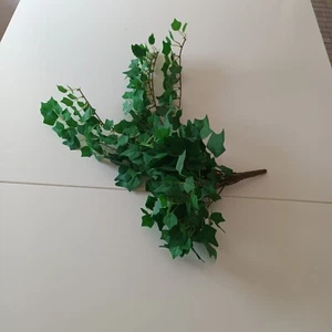 Künstliche Efeu 50cm – Pflegeleichte Wanddeko, Raumteiler, Pflanze - Bild 1 von 2