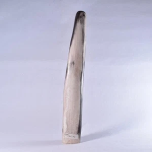 Petrified Wood Specimen, Polished Fossil Wood Freeform Tower, Indonesia 312mm - Picture 1 of 5