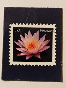 WATER LILLIES USPS USA STAMP MAGNET SCOTT #4964 - Picture 1 of 1