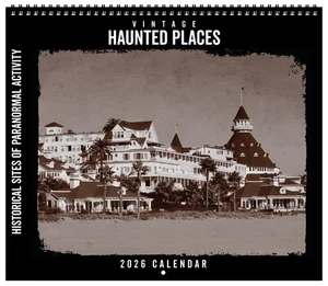 Asgard Press 2026 Vintage Haunted Places Deluxe Calendar, 14"x12" - Picture 1 of 6