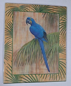 Hyacinth Macaw Parrot Poster Scafa Art Litho Print Tiki Decor Exotic 16X20 inch - Picture 1 of 11