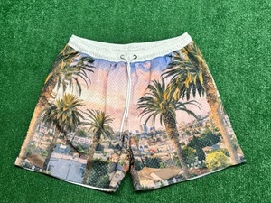 YoungLA Shorts Men’s Large White Blue House Party Mesh Perforated Gym - Bild 1 von 3