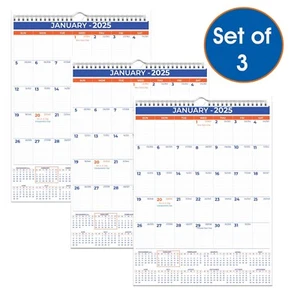2025 Wall Calendar - Jan 2025 - Dec 2025, 12 Monthly Hanging Calendar, 3 Pack - Picture 1 of 8