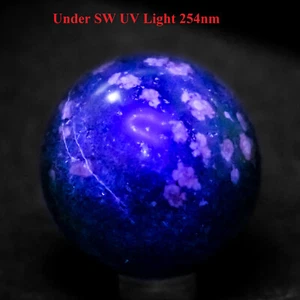 43 mm Escapolita en Mezcla de Cuernos Mineral Natural SW Cristal Reactivo UV India - Imagen 1 de 6