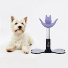 Adjustable Beauty Pet Dog Cat Trimming Grooming Stand Table