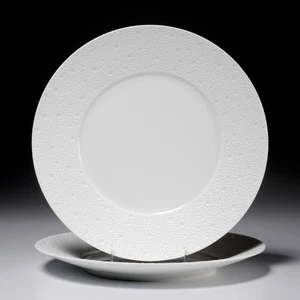 Platos de cena de porcelana texturizada blanca Bernardaud Ecume 2 piezas 10,5" de diámetro Iris Apfel - Imagen 1 de 5