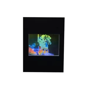 Immagine ologramma 3D Carosel cavallo a colori veri OPACA, tipo goffrato pellicola - Foto 1 di 7