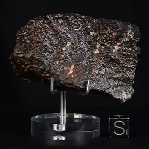 Météorite NWA 14161 de 75,02 g et son Livret Chondrite Carbonée Type CV3 - Foto 1 di 13