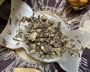 Black Snakeroot, Black Cohosh Wurzel, Liebe, Mut, Potenz, Schutz, Glück - Bild 1 von 2