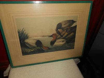 Marco de época estampado cromado Talio color mano pato trasero lienzo John James Audubon Foto 1 de 4