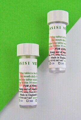 Cystitis Treatment Kit Cats Dogs  Homeopathic Remedy For Animals Assisi Vet • 17.99£