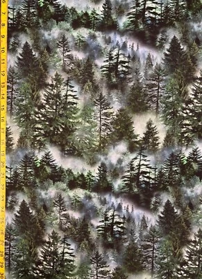 Вечнозеленый лес природа вечные сокровища ткани дымчатые горы CD3528 живописный - Изображение 1 из 3