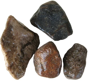 rle WHALEBONE ROUGH, VENTURA, CALIF.  1.42 lbs. RARE! FOSSIL 4 PCS. - Picture 1 of 4