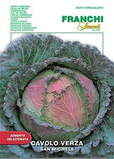 300 Semi/Seeds CAVOLO VERZA San Michele