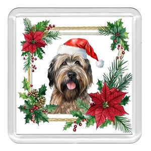 Briard Perro Navidad Sombrero Acrílico Posavasos Novedad Bebida Taza Mat Gran Regalo - Imagen 1 de 1