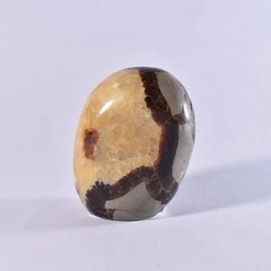 SEPTARIAN Crystal Nodule Polished Freeform- Crystal Healing - Dragonstone 75mm - Picture 1 of 5