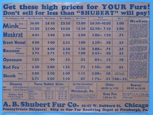 Original Vintage 1948 Raw Fur Price List Shubert Trappers Pittsburg Chicago IL - Picture 1 of 2