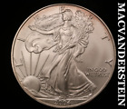 2004 American 1 oz Fine Silver Eagle - Choice Brilliant Unc  No Reserve  #V2550