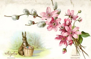 Huyler's Cocoa and Chocolate Victorian Trade Card - Picture 1 of 2