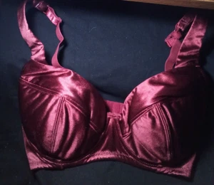 Fredericks of Hollywood Maroon Padded Underwire Bra Size 32F - Picture 1 of 8