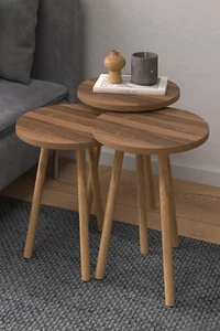 Round Wooden Leg 3-Piece Coffee / Nesting Table Set - Walnut - Picture 1 of 6