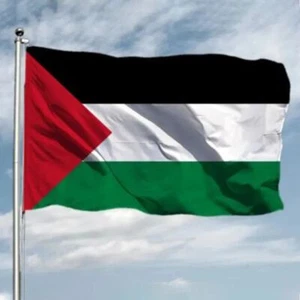 Double Sided Palestine Flag 90*150cm I Stand with Palestine Outdoor - Picture 1 of 11