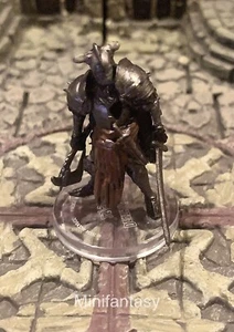 Death Knight D&D Miniature Dungeons Dragons Ravenloft Paladin Warrior Non Morti 25 - Foto 1 di 1