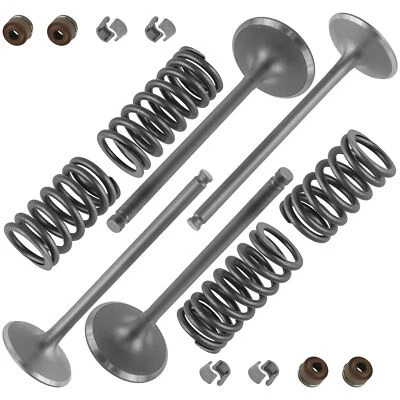 Caltric Intake & Exhaust Valve Kit For Honda Rincon 680  TRX680 4x4 2006-2023 - Image 1 of 4