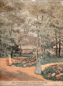 1893 Art Print The Wooded Island Near Hunter's Cabin At The Chicago World's Fair - Picture 1 of 8