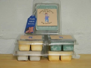 100 % natürliches Sojawachs schmilzt Waldregen 2,5 oz - Bild 1 von 4