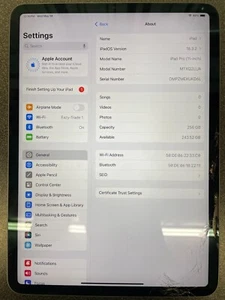 Apple iPad Pro 1st Gen 256GB, Wi-Fi, 11 in-Space Gray -Cracked - Afbeelding 1 van 2