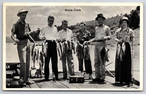 Catch of Fish Norris Lake Tennessee TN Fishing Scene 1941 Postcard - Picture 1 of 2
