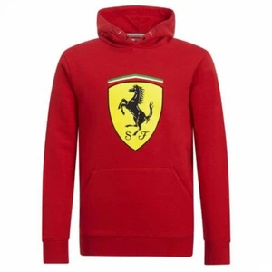 Scuderia Ferrari F1 Kinder Hoodie Badge Kids Sweat Shirt, 128 (7-8 Jahre) - Picture 1 of 1